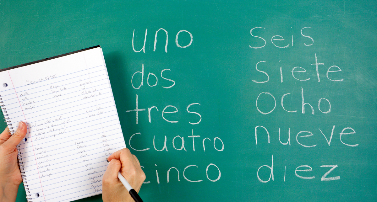 Chalkboard with basic Spanish words